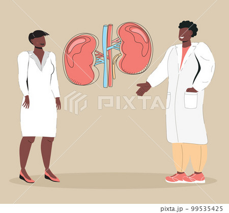Nephrologist and nephropathy concept vector in doodle style. Tiny doctors on online conference. Pyelonephritis and kidney stones diseases are shown. 99535425