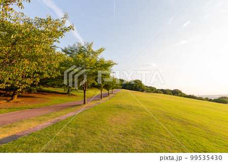 Parkland lit by setting sun, Kanazawa, Japan. 99535430