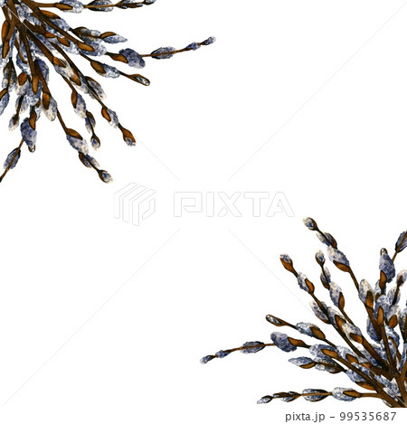 Watercolor clipart easter with willow branches. Spring hand drawn illustration on white background for decor 99535687
