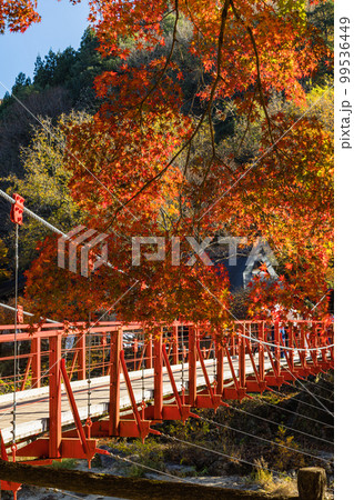 日本　愛知県豊田市足助町の香嵐渓の紅葉と巴川にかかる香嵐橋.. 99536449