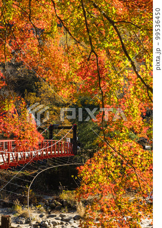 日本 愛知県豊田市足助町の香嵐渓の紅葉と巴川にかかる香嵐橋.. 日本 愛知県豊田市足助町の香嵐渓の紅葉と巴川にかかる香嵐橋.. 99536450