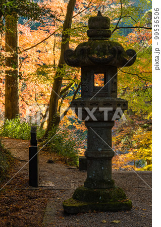 日本 愛知県豊田市足助町の香嵐渓の紅葉と香積寺の灯籠 日本 愛知県豊田市足助町の香嵐渓の紅葉と香積寺の灯籠 99536506