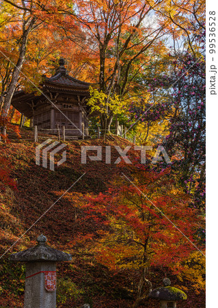 日本　愛知県豊田市足助町の香嵐渓の紅葉と太子堂 99536528