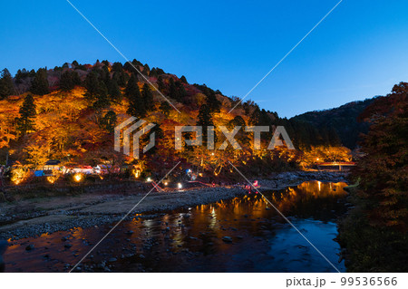 日本 愛知県豊田市足助町 ライトアップされた香嵐渓の飯盛山の紅葉と巴川の夜景 日本 愛知県豊田市足助町 ライトアップされた香嵐渓の飯盛山の紅葉と巴川の夜景 99536566