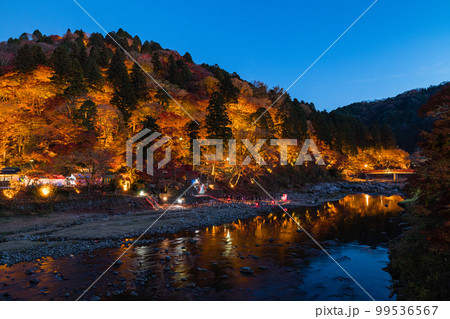 日本 愛知県豊田市足助町 ライトアップされた香嵐渓の飯盛山の紅葉と巴川の夜景 日本 愛知県豊田市足助町 ライトアップされた香嵐渓の飯盛山の紅葉と巴川の夜景 99536567