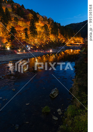 日本 愛知県豊田市足助町 ライトアップされた香嵐渓の飯盛山の紅葉と巴川の夜景 日本 愛知県豊田市足助町 ライトアップされた香嵐渓の飯盛山の紅葉と巴川の夜景 99536568