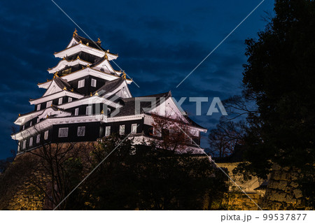 日本 岡山県岡山市のライトアップされた岡山城 日本 岡山県岡山市のライトアップされた岡山城 99537877