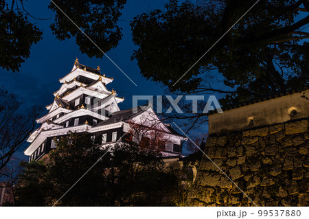 日本　岡山県岡山市のライトアップされた岡山城 99537880