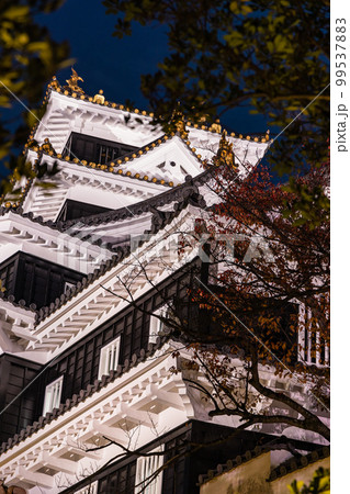 日本 岡山県岡山市のライトアップされた岡山城 日本 岡山県岡山市のライトアップされた岡山城 99537883
