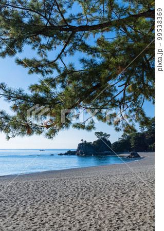 日本 高知県高知市浦戸の桂浜の桂浜公園の砂浜と龍王岬 日本 高知県高知市浦戸の桂浜の桂浜公園の砂浜と龍王岬 99538369