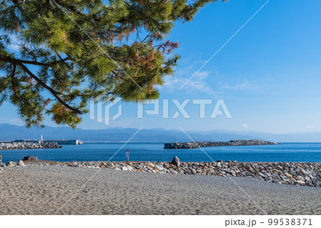 日本　高知県高知市浦戸の桂浜の桂浜公園の砂浜 99538371