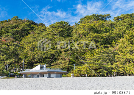 日本　高知県高知市浦戸の桂浜の桂浜公園の砂浜と松林 99538375