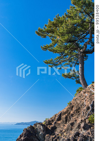 日本　高知県高知市浦戸の桂浜の竜王岬展望台 99538400