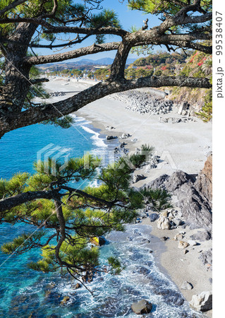 日本　高知県高知市浦戸の桂浜の竜王岬展望台から見える砂浜 99538407