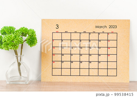 A Brown March 2023 Monthly calendar for 2023 year with plant pot on wooden table. 99538415