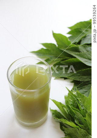 青汁　明日葉 99539264