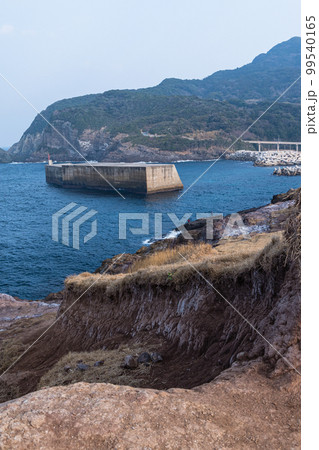 日本　山口県長門市にある元乃隅神社から見える日本海と津黄漁港 99540165