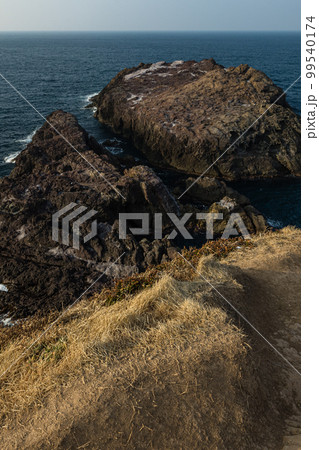 日本　山口県長門市にある元乃隅神社から見える日本海と龍宮の潮吹きが見える断崖 99540174