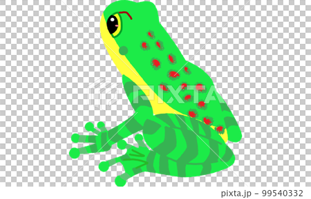 The vivid tone of Amamiishikawa frog, a creature of the world natural heritage island 99540332