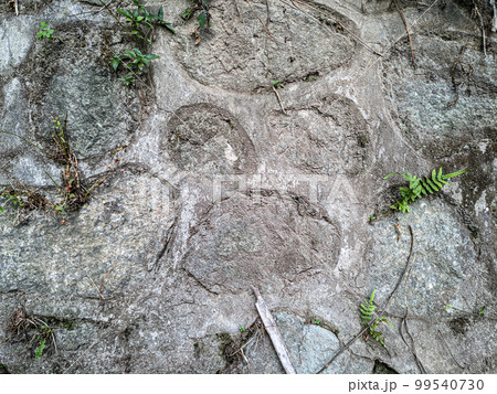 Texture of old gray concrete wall for background 99540730