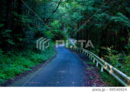 暗い山道 暗い山道 99540924