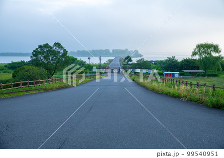 谷中湖 渡良瀬遊水地 新緑の季節 谷中湖 渡良瀬遊水地 新緑の季節 99540951
