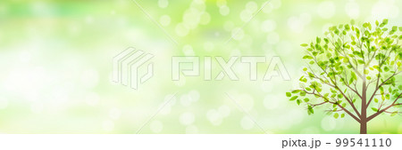 新緑　葉　空　背景 99541110