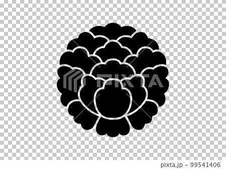 large peony 99541406