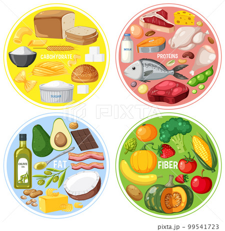 The four food groups The four food groups 99541723