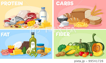 The four main food groups The four main food groups 99541726