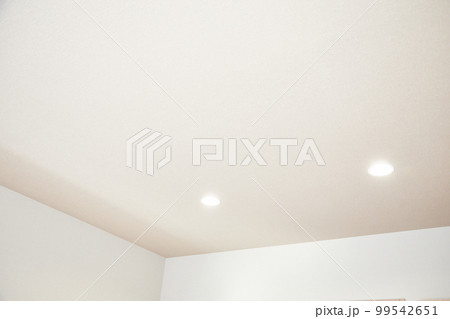 家　天井　ダウンライト 99542651