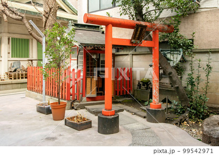 東京都台東区浅草橋の銀杏岡八幡神社 東京都台東区浅草橋の銀杏岡八幡神社 99542971