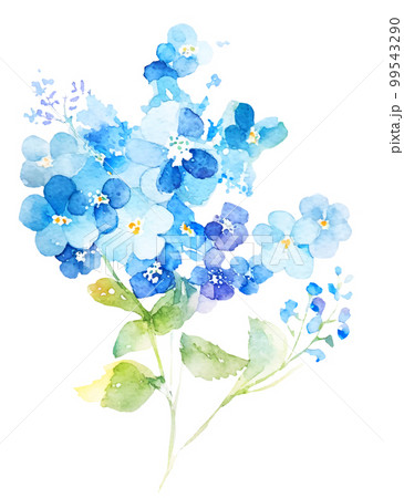 ワスレナグサの花の水彩イラスト／AI画像のイラスト素材 [99543290