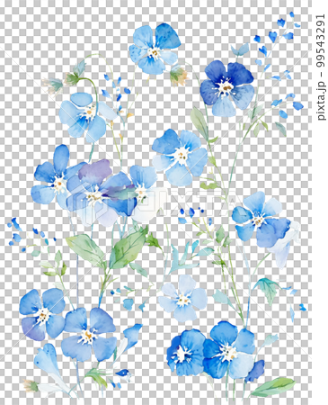 ネモフィラの花の水彩イラスト／AI画像 99543291