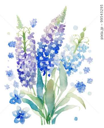 ムスカリの花の水彩イラスト／AI画像のイラスト素材 [99543295] - PIXTA