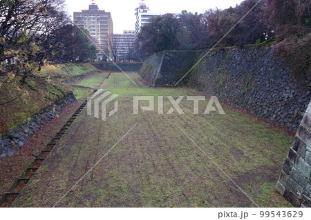 名古屋城の二の丸東門から見た空堀（内堀） 99543629