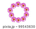 ピンクの花の輪 99543630