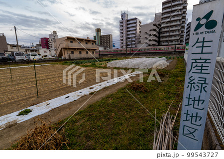 住宅地の生産緑地 住宅地の生産緑地 99543727