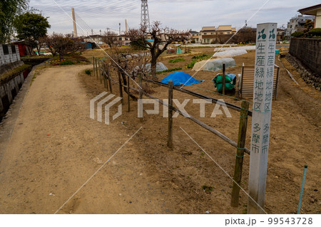 住宅地の生産緑地 99543728