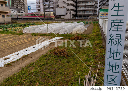住宅地の生産緑地 99543729