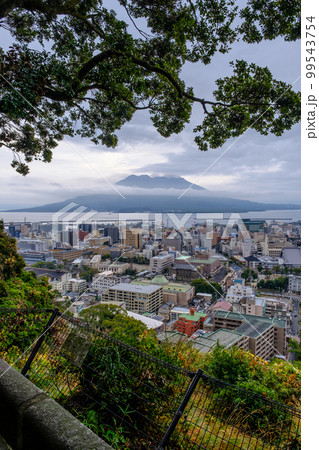 城山公園展望台からの桜島（鹿児島県鹿児島市） 99543754
