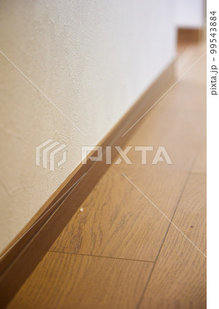 家の廊下 フローリング 怖い 不安 希望 家の廊下 フローリング 怖い 不安 希望 99543884