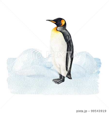 Emperor penguin in the snow landscape. Watercolor illustration. Hand drawn penguin bird standing on the ice with snow piles background. Natural North wildlife bird scene Emperor penguin in the snow landscape. Watercolor illustration. Hand drawn penguin bird standing on the ice with snow piles background. Natural North wildlife bird scene 99543919