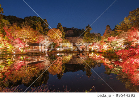 東山動植物園の紅葉ライトアップ（愛知県名古屋市） 99544292