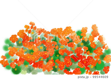 カランコエオレンジ 99544609