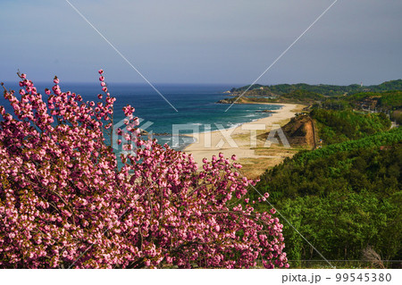 砂浜 自然 旅行 99545380