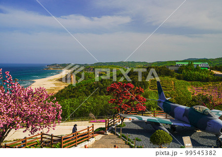 砂浜 自然 旅行 99545382