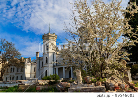 Sharovka palace in neo-gothic style, also known as Sugar Palace in Kharkov region, Ukraine Sharovka palace in neo-gothic style, also known as Sugar Palace in Kharkov region, Ukraine 99546083