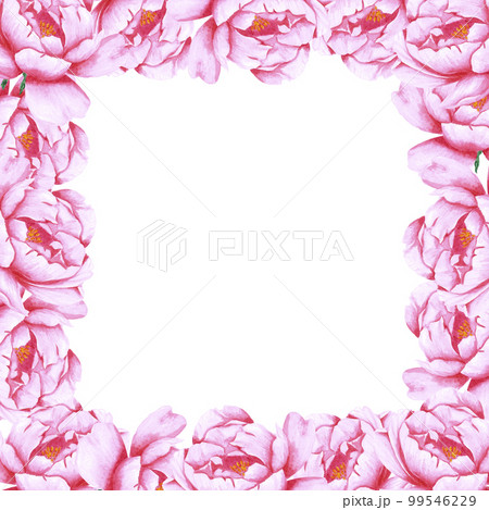 Handdrawn Watercolor pink peony flowers frame on the white background. Scrapbook design, wedding invitation, label, banner, post card. 99546229