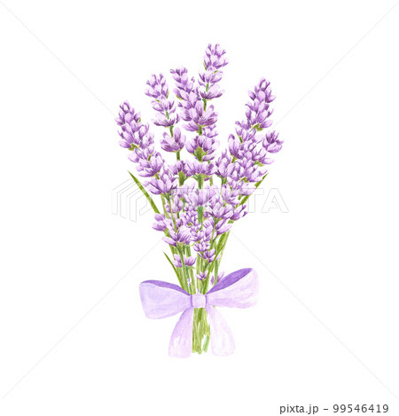 Handdrawn lavender flowers. Watercolor purple lavender bouquet. Scrapbook design, typography poster, invitation, label, banner and card. Handdrawn lavender flowers. Watercolor purple lavender bouquet. Scrapbook design, typography poster, invitation, label, banner and card. 99546419